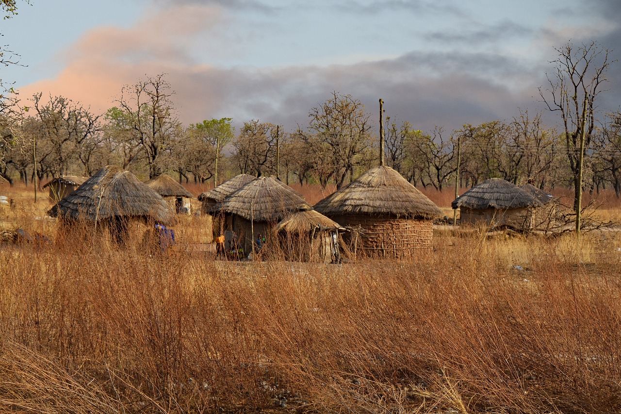 Precauciones para viajar a África: consejos para un viaje seguro